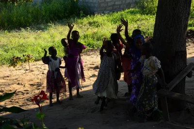 DSC_8172 (Large).JPG